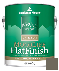 Краска Regal Select Exterior Paint-MoorLife Flat Finish (W105) цвет 1561 Castle Peak Gray