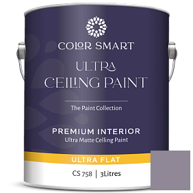 Краска COLOR SMART CS 758 ULTRA CEILING PAINT ультраматовая краска цвет AF-600 