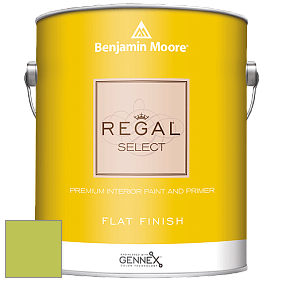 Benjamin Moore 547 Regal Select Waterborne Interior Flat Finish краска цвет NCS S 1060-G50Y 