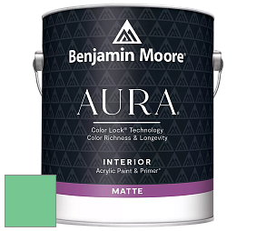 Benjamin Moore Aura 522 Interior Paint - Matte краска цвет 2037-40 Adam Green