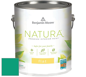 Benjamin Moore 512 Natura Interior Flat Finish матовая краска цвет 2046-30 Cayman Lagoon
