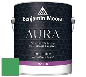 Benjamin Moore Aura 522 Interior Paint - Matte краска цвет 2037-30 Kelly Green