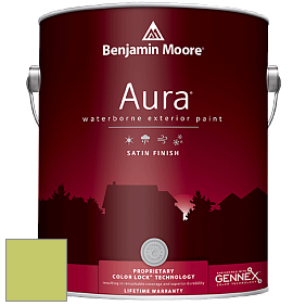Benjamin Moore Aura 631 Waterborne Exterior Satin Finish краска цвет 2028-40 Pear Green