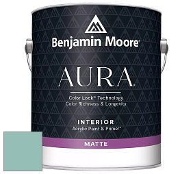Benjamin Moore Aura 522 Interior Paint - Matte краска цвет NCS S 2020-B70G 