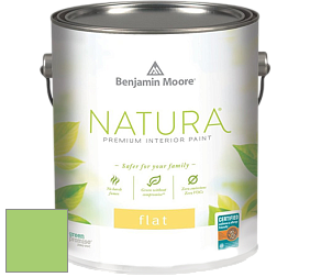 Benjamin Moore 512 Natura Interior Flat Finish матовая краска цвет 2030-40 Spring Leaf