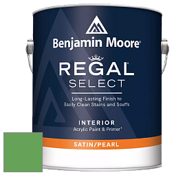 Benjamin Moore 550 Regal Select Waterborne Interior Pearl Finish краска цвет NCS S 2060-G20Y 