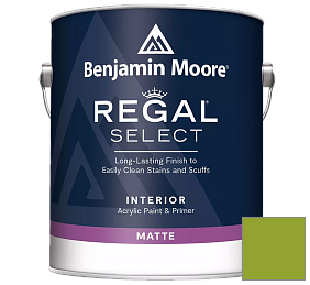 Краска Regal Select Interior Paint - Matte (548) цвет 2028-20 Douglas Fir