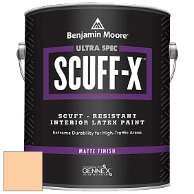 Benjamin Moore 484 Ultra Spec SCUFF-X Interior Matte Finish краска цвет 2016-50 Melon Popsicle