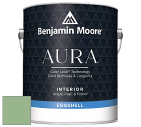 Benjamin Moore Aura 524 Waterborne Interior Eggshell Finish краска цвет NCS S 2030-G20Y 