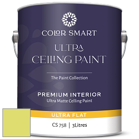 COLOR SMART CS 758 ULTRA CEILING PAINT ультраматовая краска цвет NCS S 0550-G60Y 