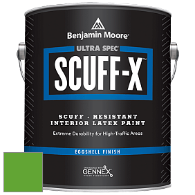 Benjamin Moore 485 Ultra Spec SCUFF-X Interior Eggshell Finish краска цвет 2032-20 Traffic Light Green