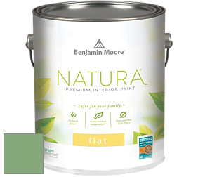 Benjamin Moore 512 Natura Interior Flat Finish матовая краска цвет 565 Aurora Borealis