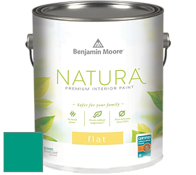 Benjamin Moore 512 Natura Interior Flat Finish матовая краска цвет NCS S 2555-B80G 