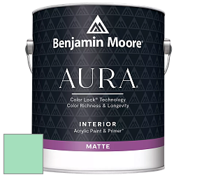 Benjamin Moore Aura 522 Interior Paint - Matte краска цвет 2037-50 Greenwood Lake