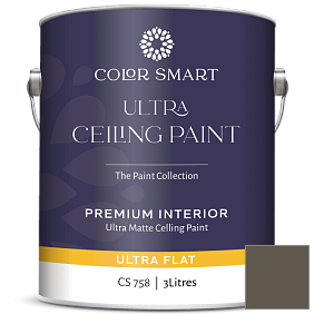 Краска COLOR SMART CS 758 ULTRA CEILING PAINT ультраматовая краска цвет 2138-20 Green Grove