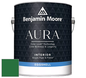 Benjamin Moore Aura 524 Waterborne Interior Eggshell Finish краска цвет RAL 6001 