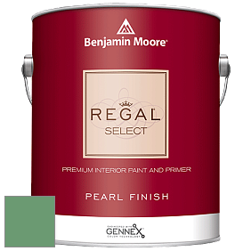 Benjamin Moore 550 Regal Select Waterborne Interior Pearl Finish краска цвет NCS S 3040-G10Y 