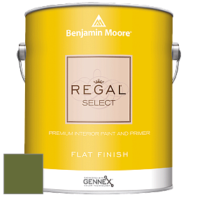 Benjamin Moore 547 Regal Select Waterborne Interior Flat Finish краска цвет NCS S 4550-G40Y 
