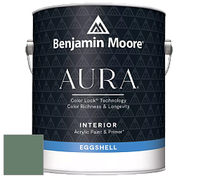 Benjamin Moore Aura 524 Waterborne Interior Eggshell Finish краска цвет NCS S 5020-G10Y 