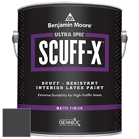 Краска Ultra Spec SCUFF-X Interior Matte Finish (484) цвет 2131-10 Black Satin