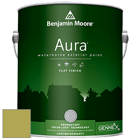 Краска Aura Waterborne Exterior Flat Finish (629) цвет 2146-30 Split Pea