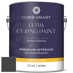 Краска COLOR SMART CS 758 ULTRA CEILING PAINT ультраматовая краска цвет 2131-10 Black Satin